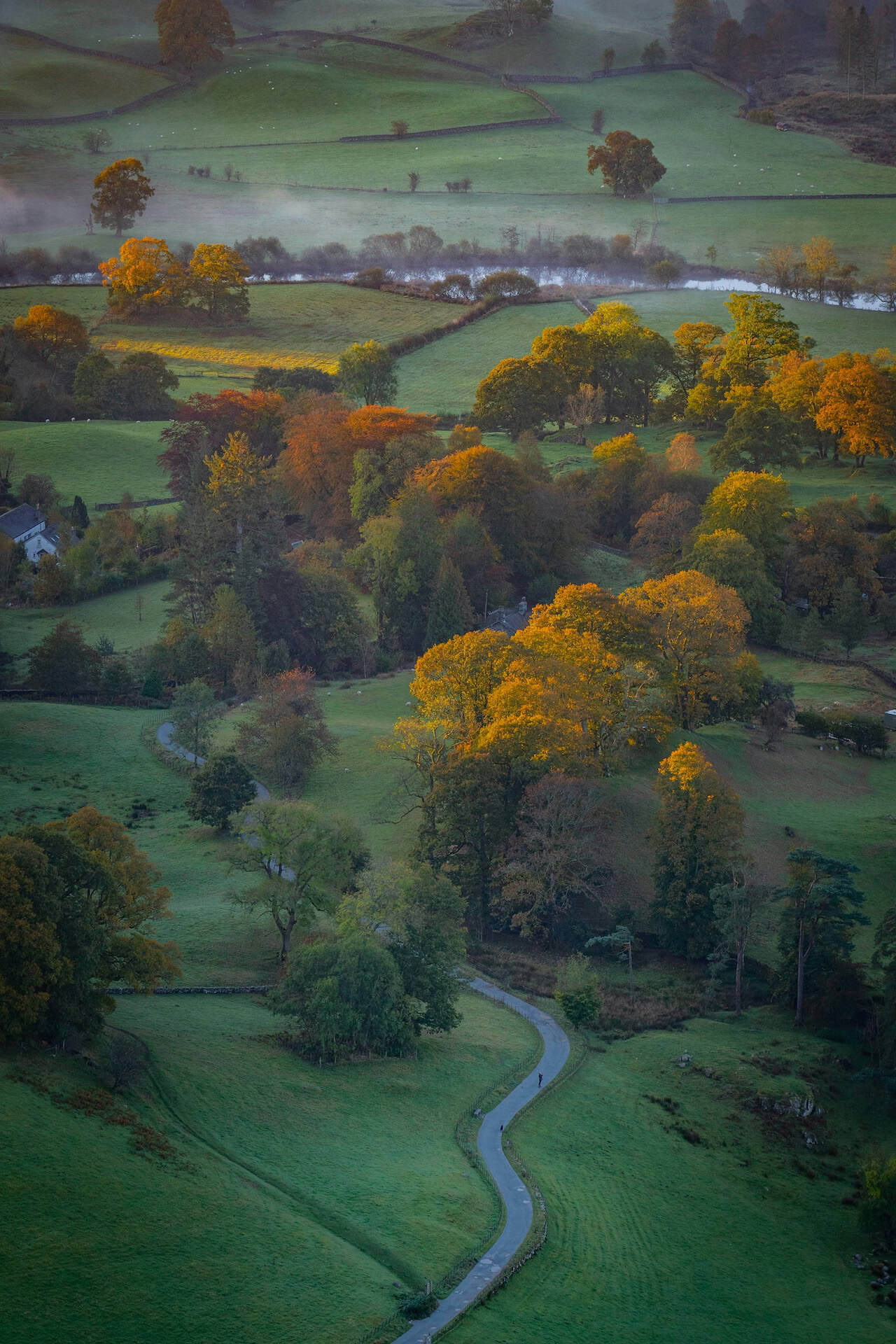 Scenic autumn landscape with rolling green hills and colourful trees in UK.
