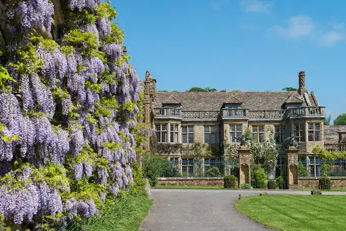 Historic mansion with lush gardens and flowering vines in the UK.